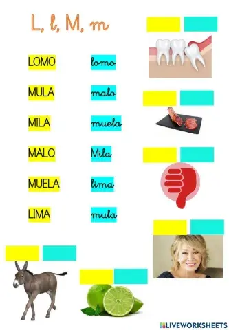 Lectura global M y L