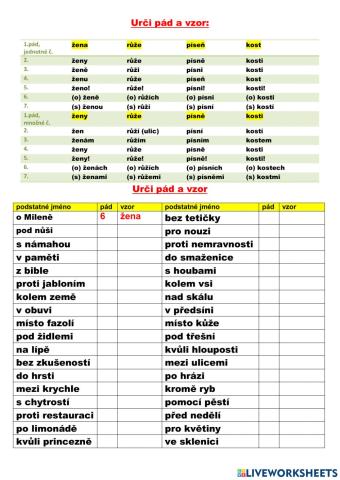 Podstatná jména -ženský rod