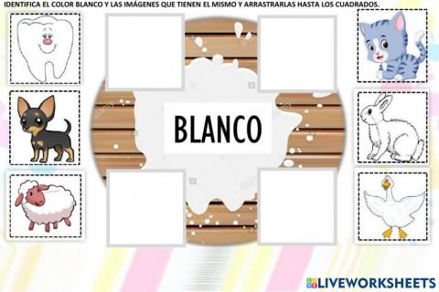 Color Blanco