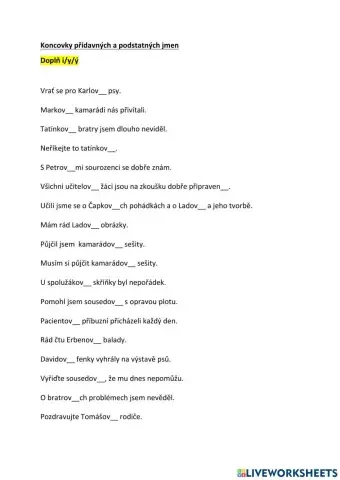 Koncovky přídavných a podstatných jmen