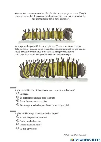 Lectura Pirls: De oruga a mariposa 03
