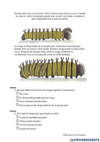 Lectura Pirls: De oruga a mariposa 03