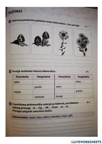 Lietuvių kalbos testas: būdvardis