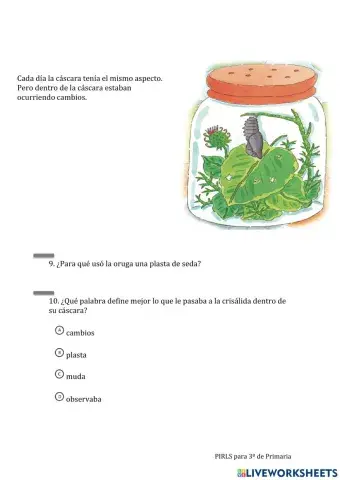 Lectura Pirls: De oruga a mariposa 04