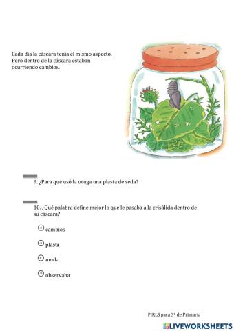 Lectura Pirls: De oruga a mariposa 04
