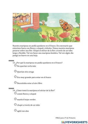 Lectura Pirls: De oruga a mariposa 05