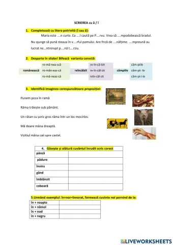 Scrierea cu î și â