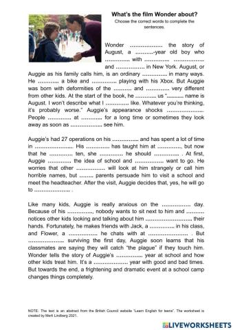 Summary of the film -Wonder-