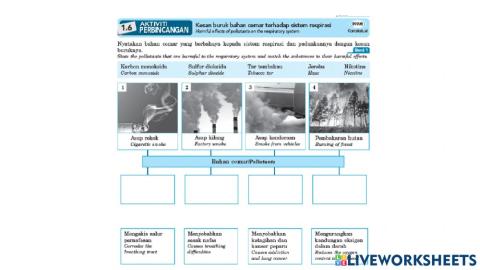 2.3 Kesihatan sistem respirasi manusai