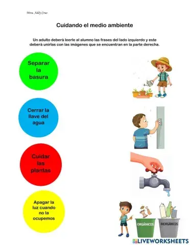 Cuidando el medio ambiente