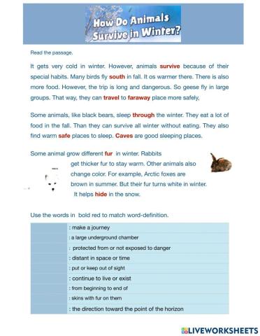 How do Animals survive in winter ?
