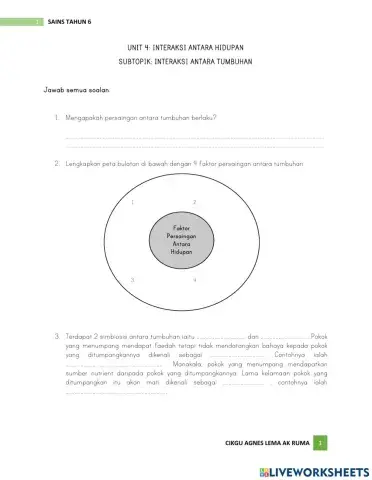 Interaksi antara hidupan