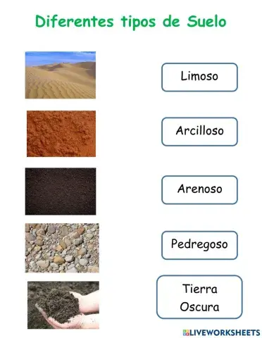 Ciencias Diferentes Tipos de Suelo