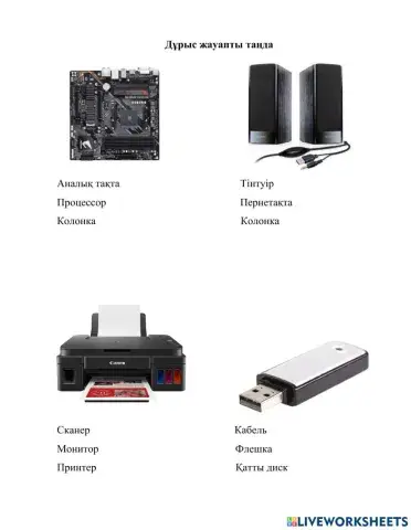 Информатика пәнінен тапсырмалар
