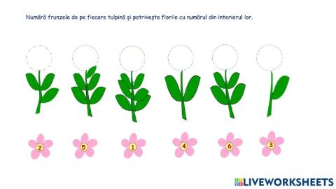 Raportarea numărului la cantitate