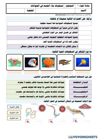 مستويات بناء الجسم في الحيوانات