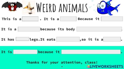 Weird animals