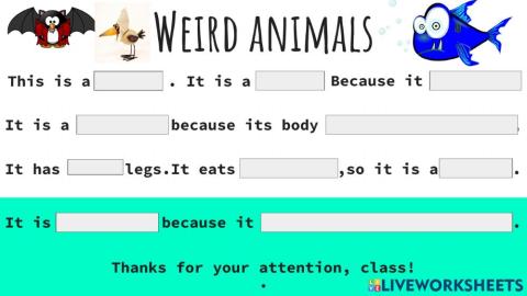 Weird animals