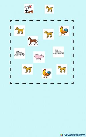 Atención - Animales domésticos 1