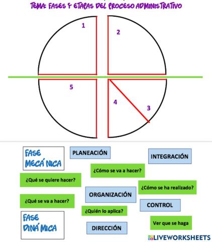Fases y Etapas del Proceso Administrativo