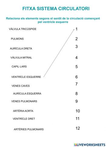 Circulació de la sang