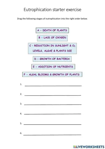 Eutrophication stages