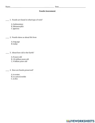 Fossils Assessment