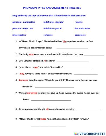 Drag and Drop Types of Pronouns