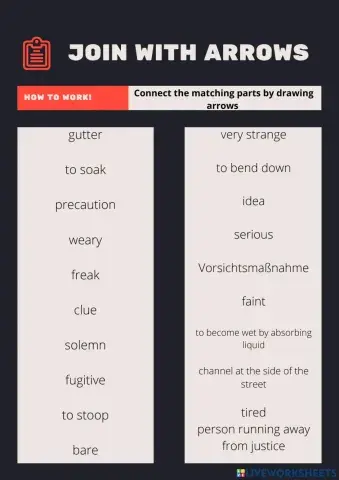 Vocabulary La Línea Chapter 17