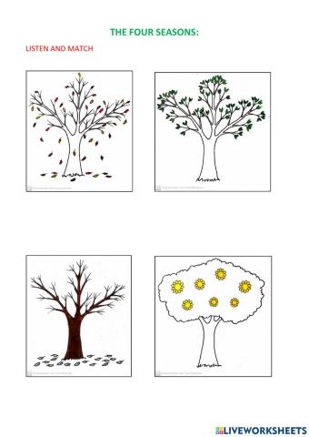 The four seasons