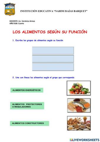 Clasificación de los alimentos según su función