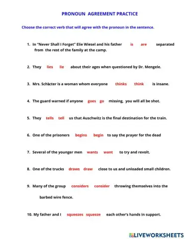 Practicing Pronoun Verb  Agreement