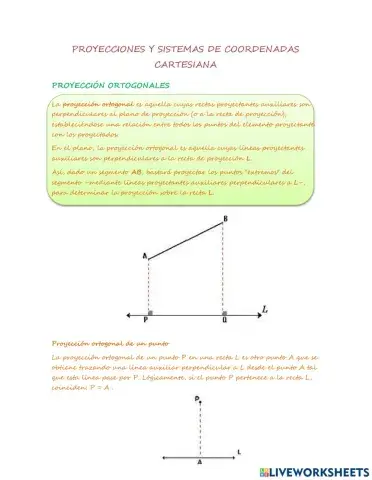 Teoria pROYEION PLANO CARTESIANO
