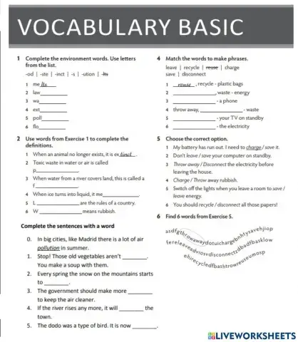 Making a difference Vocabulary