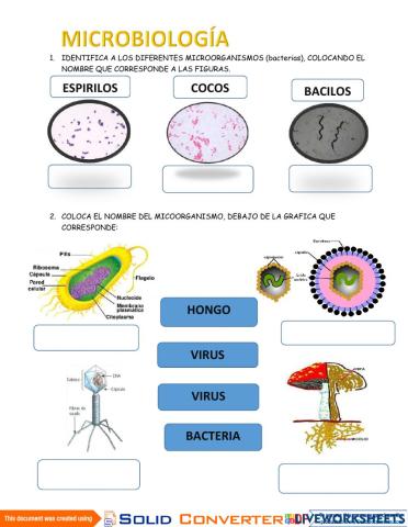 Microbiología