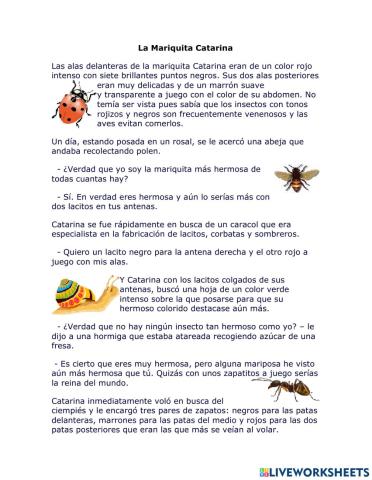 La mariquita Catarina