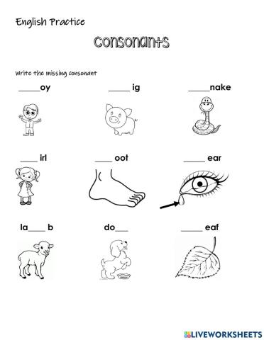 Consonants