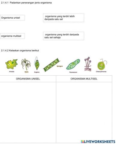 2.1.4 Menjelaskan dengan contoh ciri organisma unisel dan multisel bagi kedua-dua haiwan dan tumbuhan.