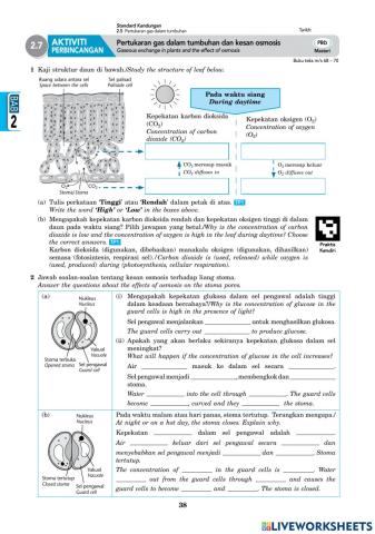 2.5 Pertukaran gas dalam tumbuhan dan osmosis
