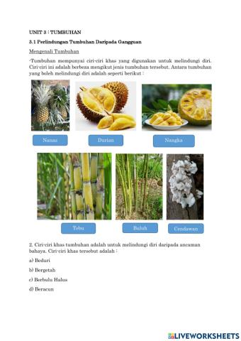 Perlindungan Tumbuhan Daripada Gangguan