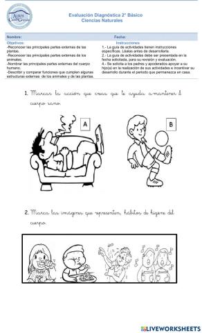 Evaluación diágnostica ciencias