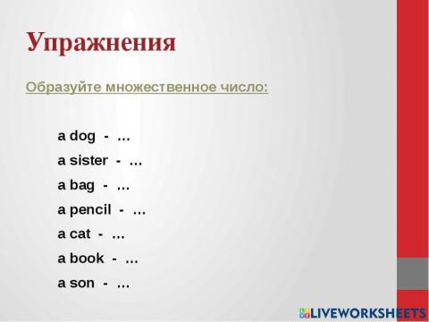 Plural forms of nouns