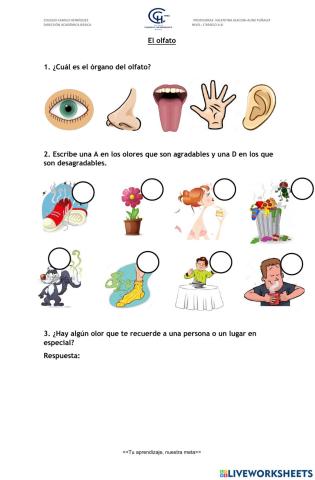 El olfato