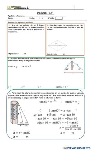 Triangulo rectángulo
