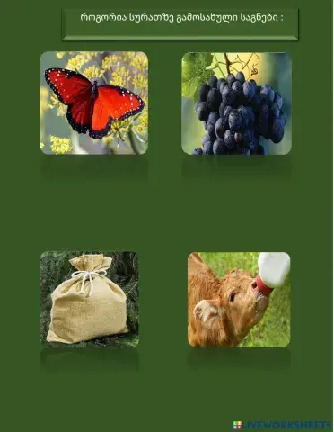 Თანხმოვანფუძიანი და ხმოვანფუძიანი სახელები