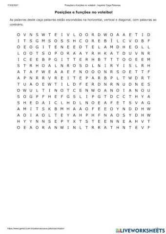 Funções no Voleibol