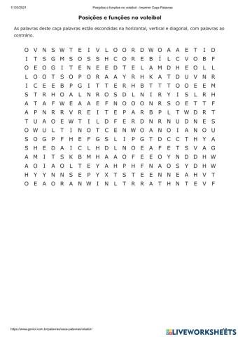 Funções no Voleibol