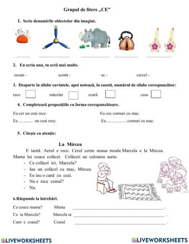 Grupul de litere - CE-Exerciții