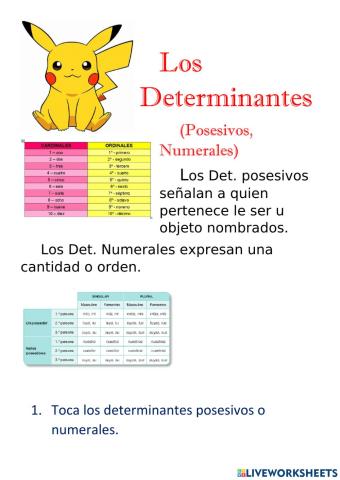 Determinantes Posesivos y Numerales