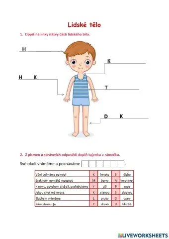 Pracovní list - Lidské tělo